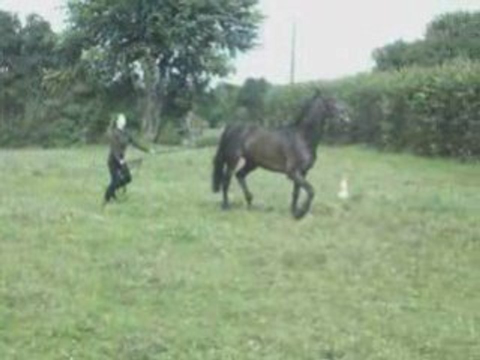 1 ère fois en Longues Rênes PLouf et moi !