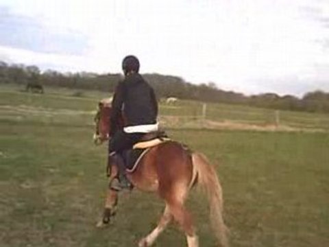 Kiki sur un mini saut