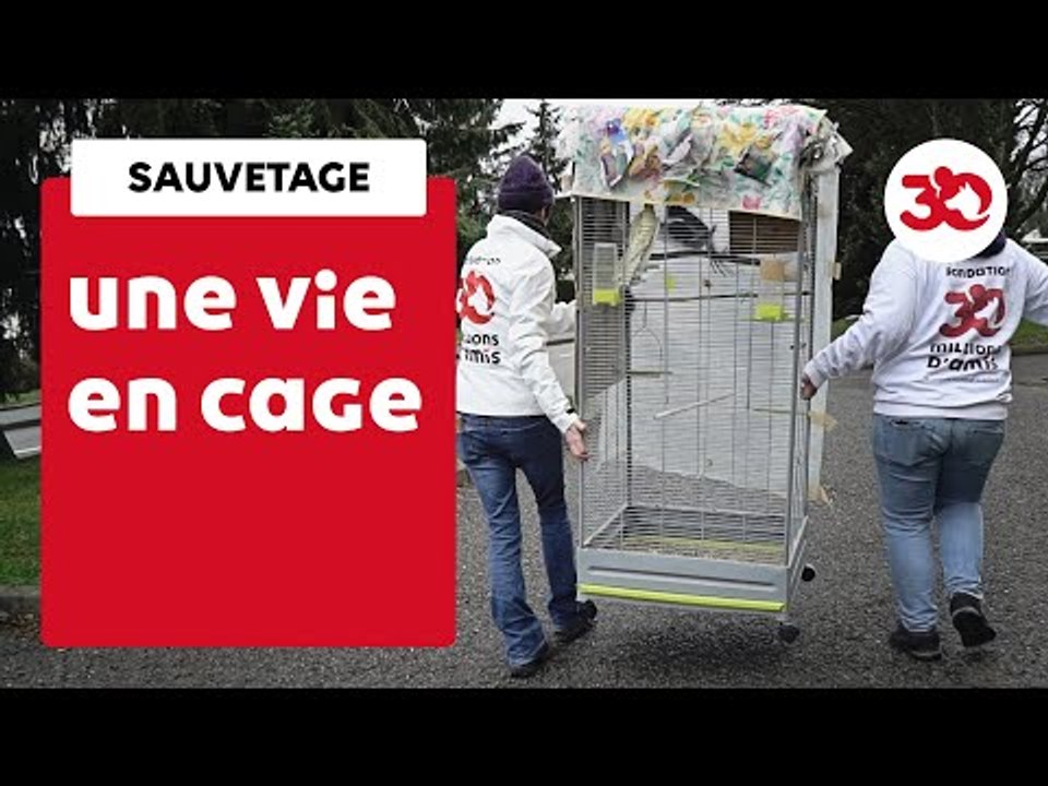 Chaque Jour, La Fondation 30 Millions D'Amis Est Sur Le Terrain Pour Sauver Les Animaux | Sauvetage d'animaux