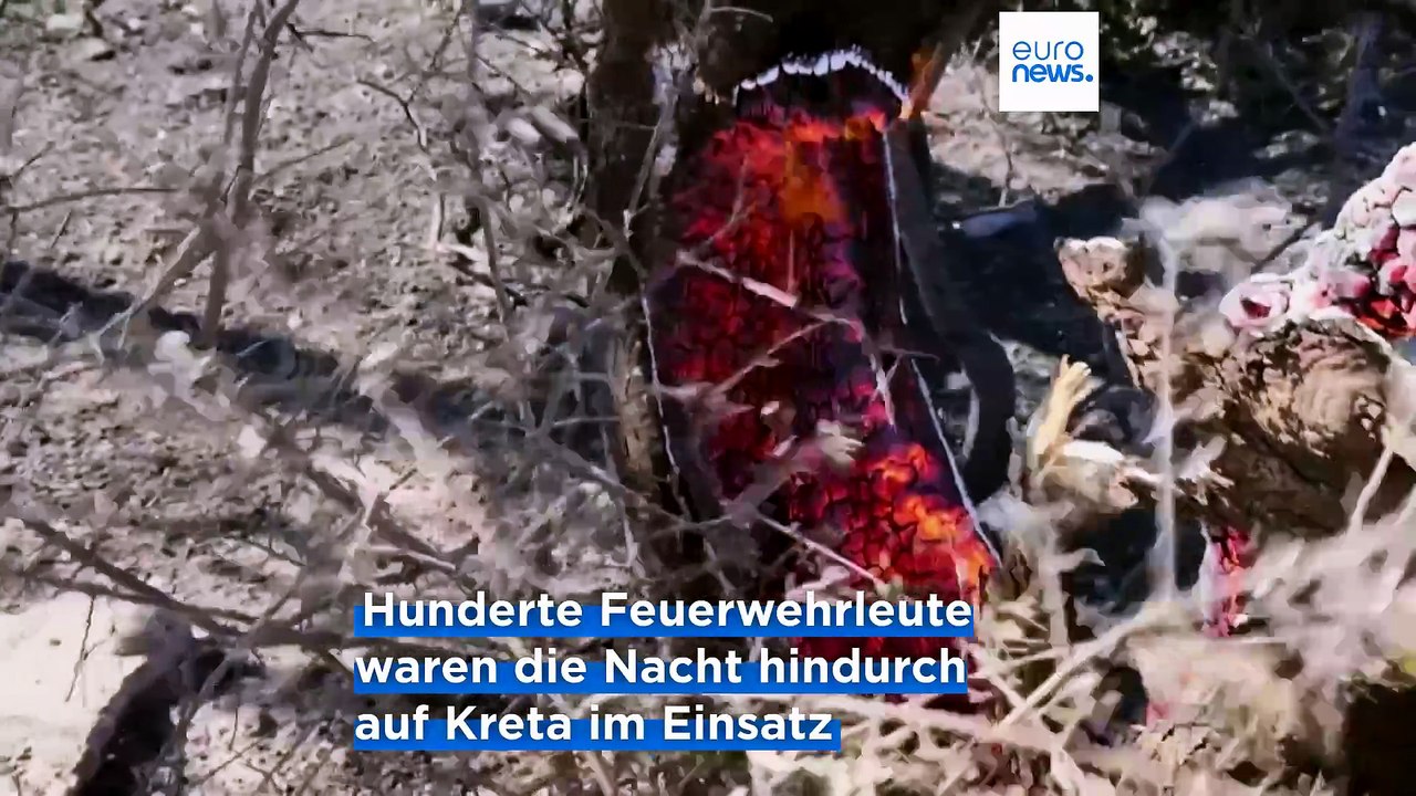Nachrichten des Tages | 2. August 2026 - Mittagsausgabe