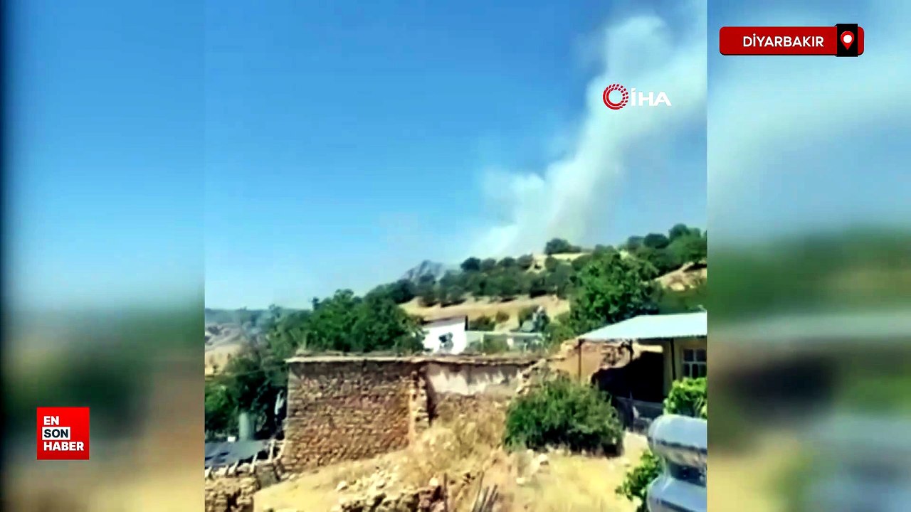 Diyarbakır'da alevler yerleşim yerlerine ulaşmadan söndürüldü