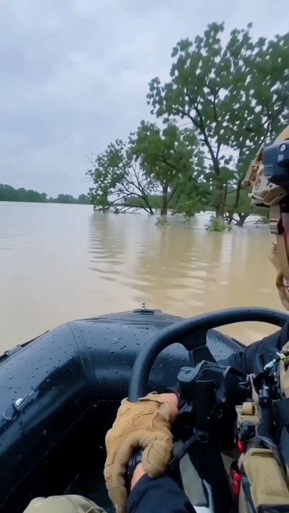Incredible Animal Rescue During Extreme Flood | Heartwarming Wildlife Survival Story