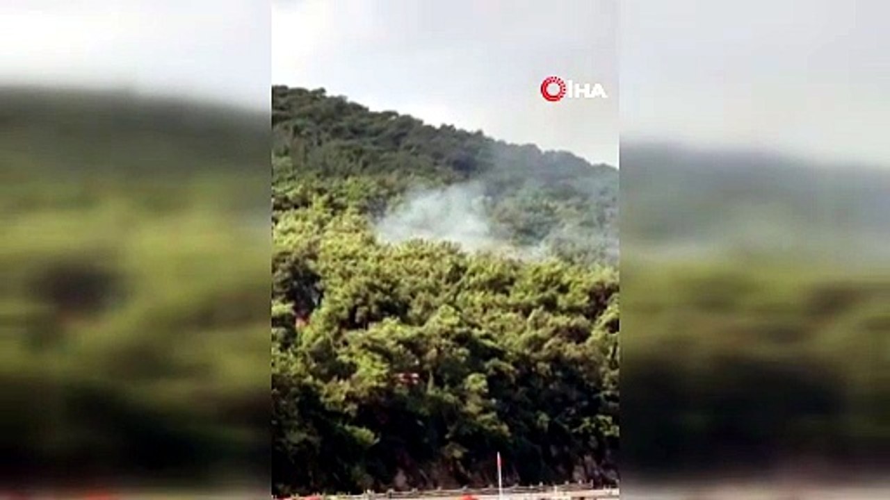 Heybeliada'da korkutan orman yangını