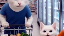 Emotional Story of a Kid Who Loved Ice Cream Too Much 🍦🐾 | Heartwarming AI Animal Story | Animal Vised