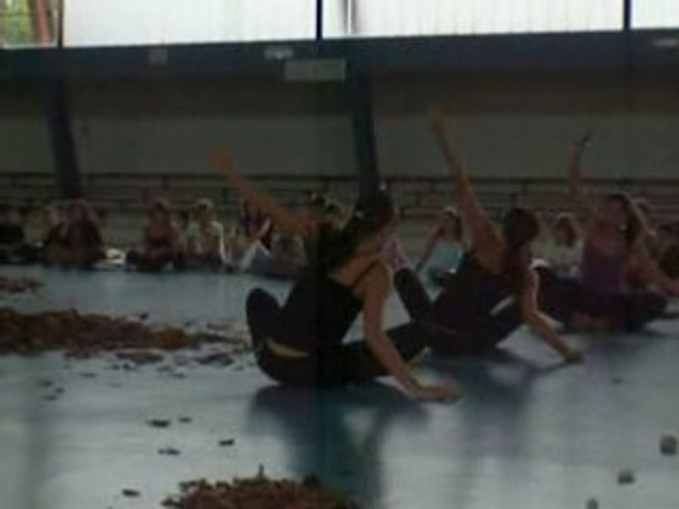 Spectacle de Danse =)