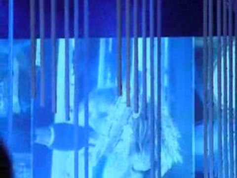 Main Square Festival Arras