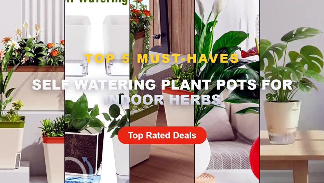 Don't Buy Self Watering Plant Pots For Indoor Herbs Before Watching This! - Self Watering Plant Pots Indoor Modern Plast...
