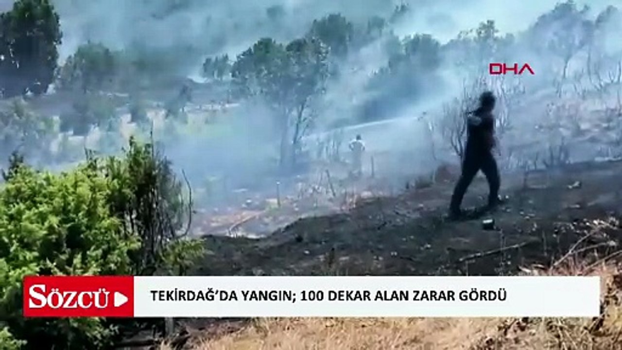 Tekirdağ’da yangın; 100 dekar alan zarar gördü