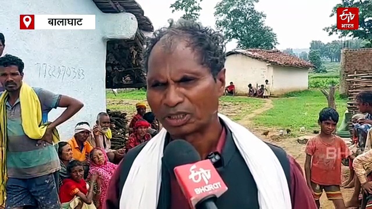बालाघाट में टाइगर का टेरर, घर में सो रही महिला को घसीटकर ले गया बाघ, मिली हड्डियां