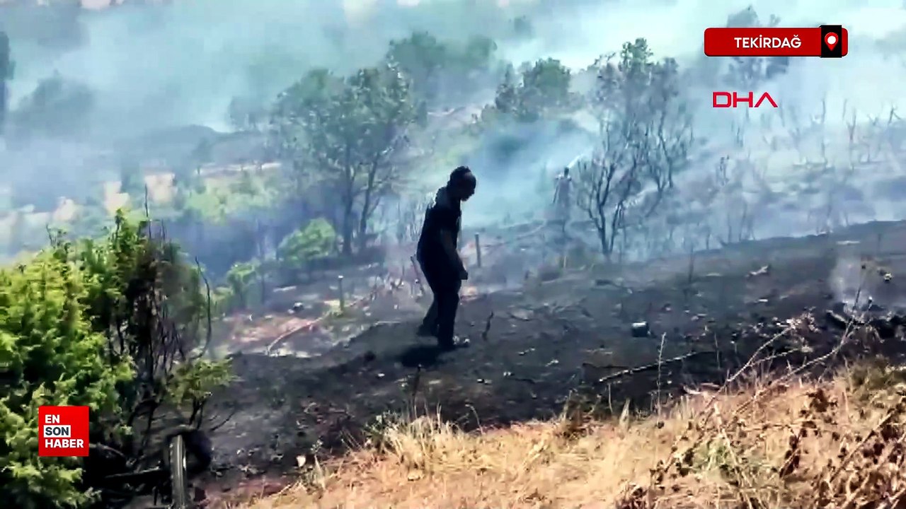 Tekirdağ’da yangın; 100 dekar alan zarar gördü