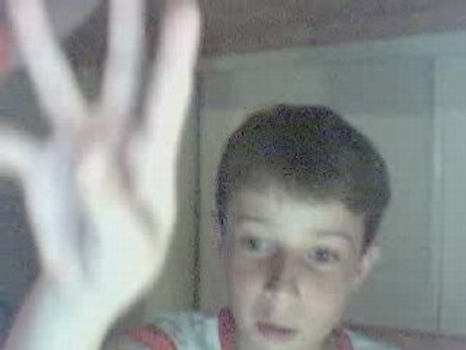 le ptit bojour