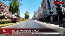 Mersin'de yangında mahsur kalan papağanı itfaiye kurtardı