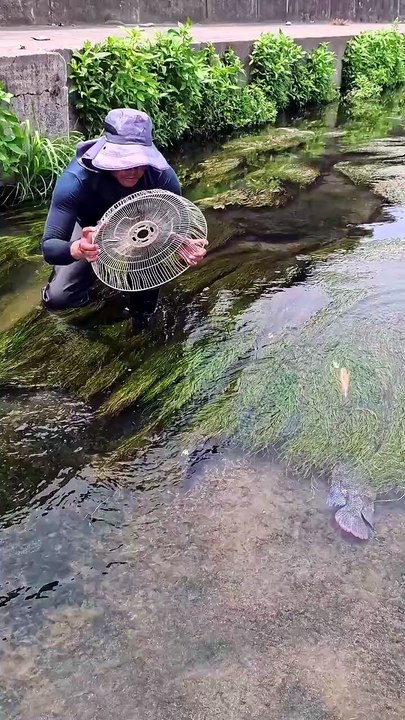 The method of fishing with a fan cage is an extraordinary talent.