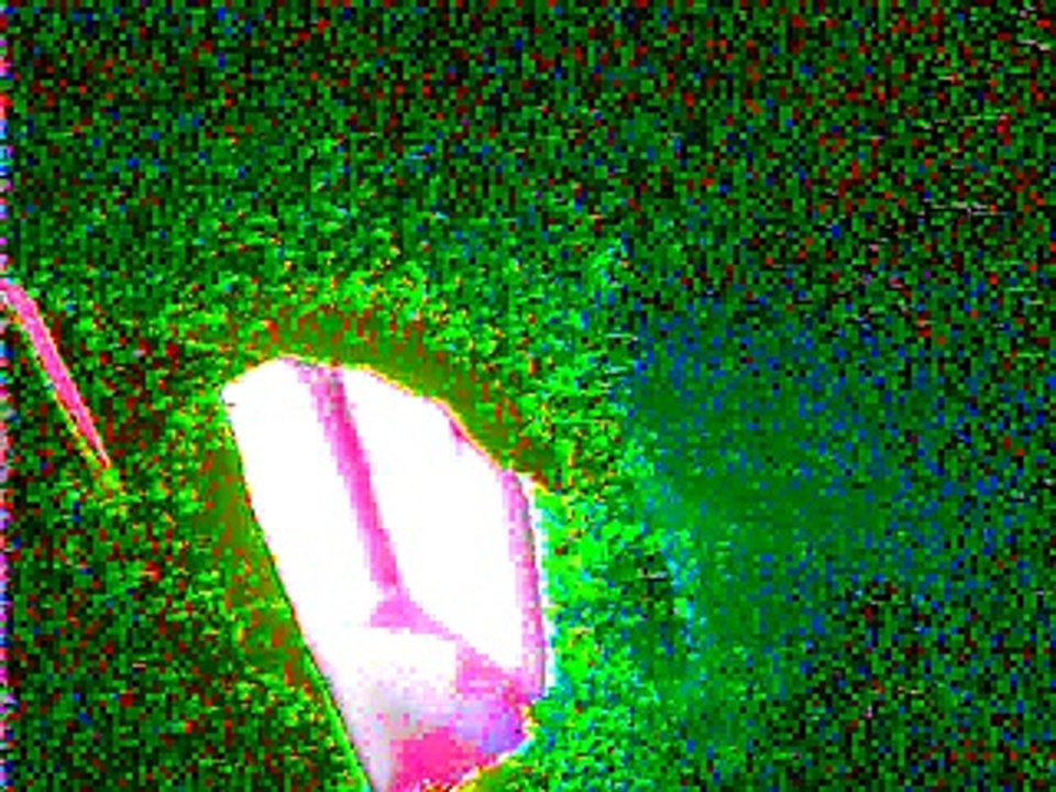 Video0002