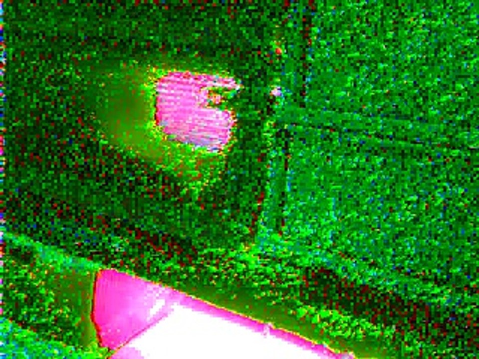 Video0004