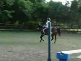 Hulis saut liberté.