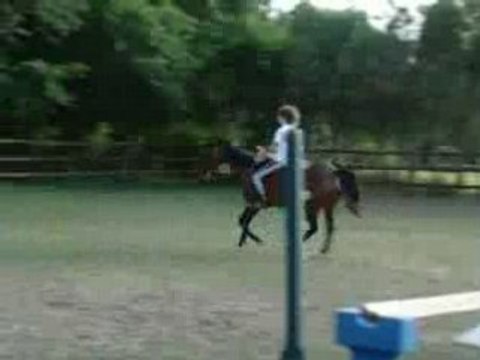 Hulis saut liberté.