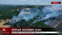 Tekirdağ'da hobi bahçesindeki ateş ormana sıçradı