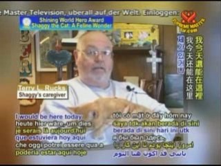 Shining World Hero - Shaggy the Cat:A Feline Wonder