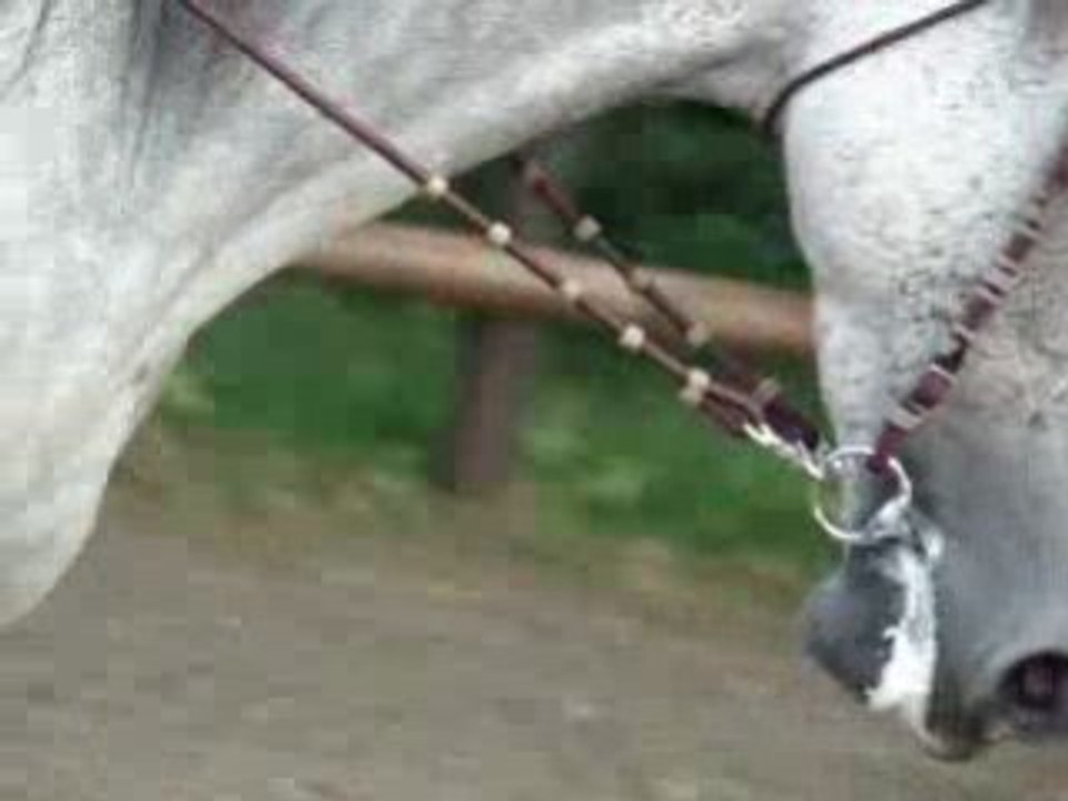 MOV01479