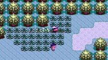 Pokemon Ruby Part 5