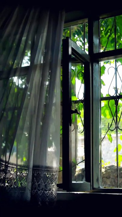 "At this hour there is only the forest 🌿 nature sounds, birdsong for studying · no music"