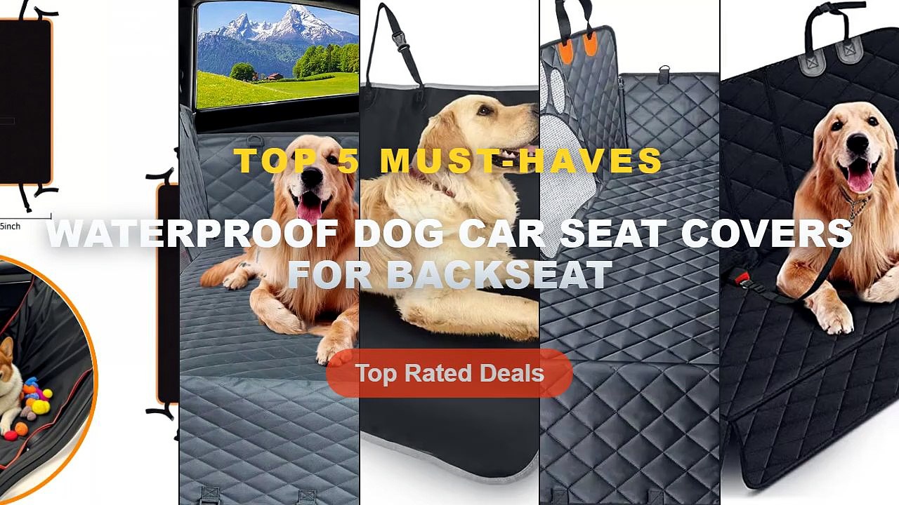 Ultimate Guide to the Best Waterproof Dog Car S...