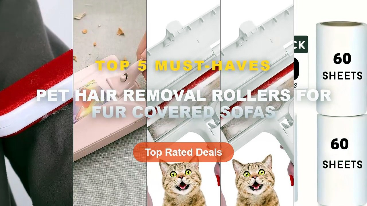 Ultimate Guide to the Best Pet Hair Removal Rollers For Fur Covered Sofas