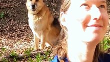 Elle change de chemin en forêt et fait une découverte qui intrigue les habitants