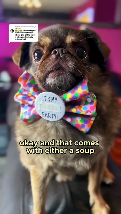 Pug kingdom bulletin