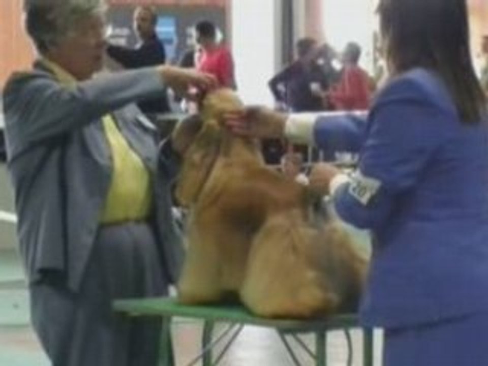 WW-08 Teo & Micadee`s Mann Hattan 06.07.2008