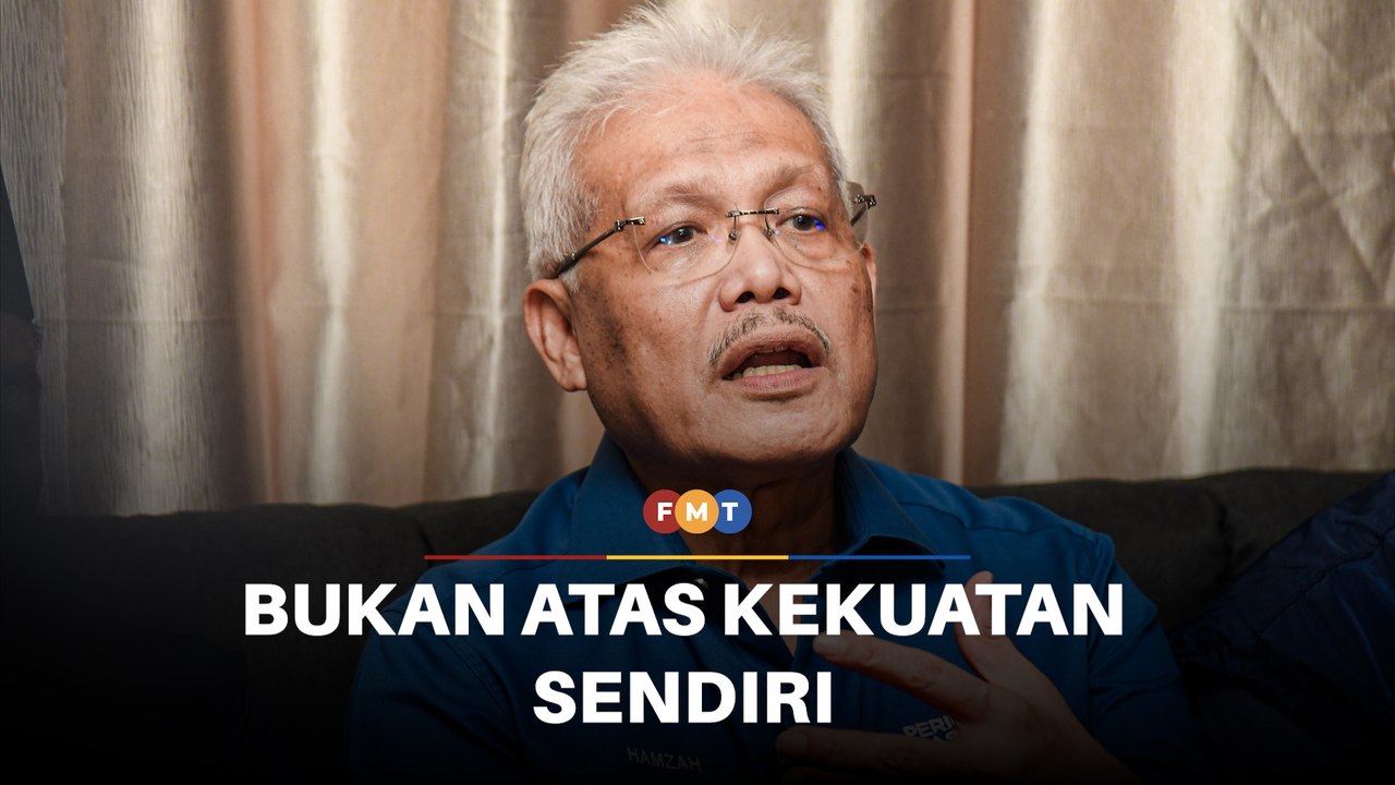 Kejayaaan Wawasan di PRN N Sembilan bukan atas kekuatan sendiri, kata penganalisis