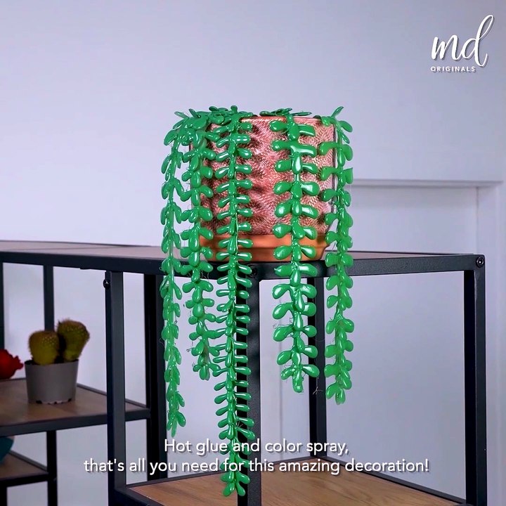 Are you ready for some of the most creative DIY's?