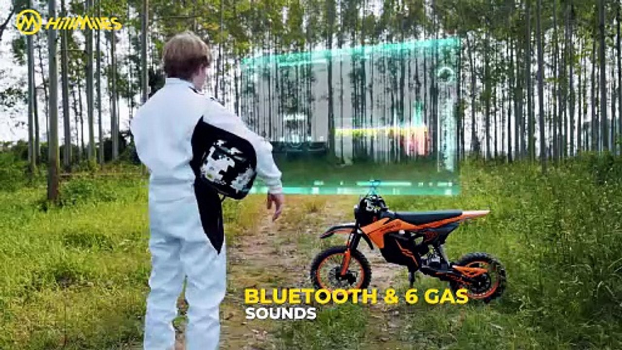 Electric dirt Bike Bult for pure Power