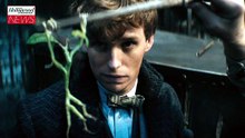 ‘Fantastic Beasts: The Secrets of Dumbledore’ Brings in $43M at the Box Office | THR News [Full Movie]