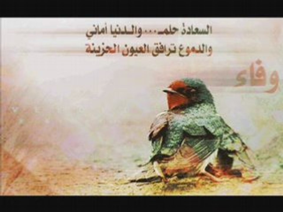فضل شاكر