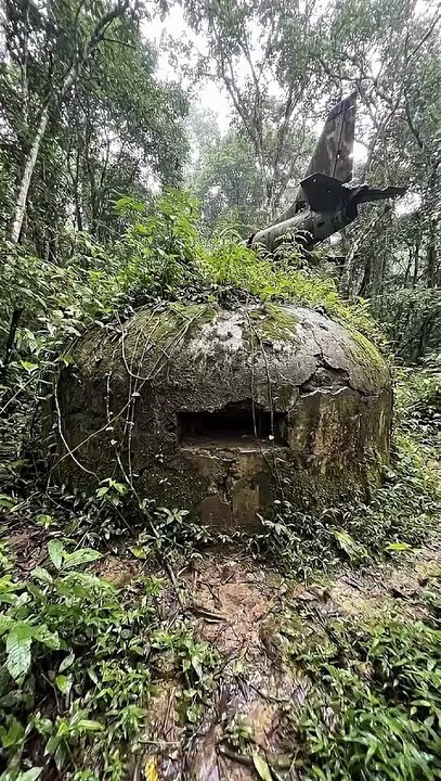 Watch this amazing construction journey from start to finish! See how simple materials are transformed into a beautiful and functional house through skill, creativity, and hard work. If you enjoy building projects, DIY creations, survival shelters, and sa