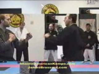 Shaolin Kempo Karate-Weapon of choice