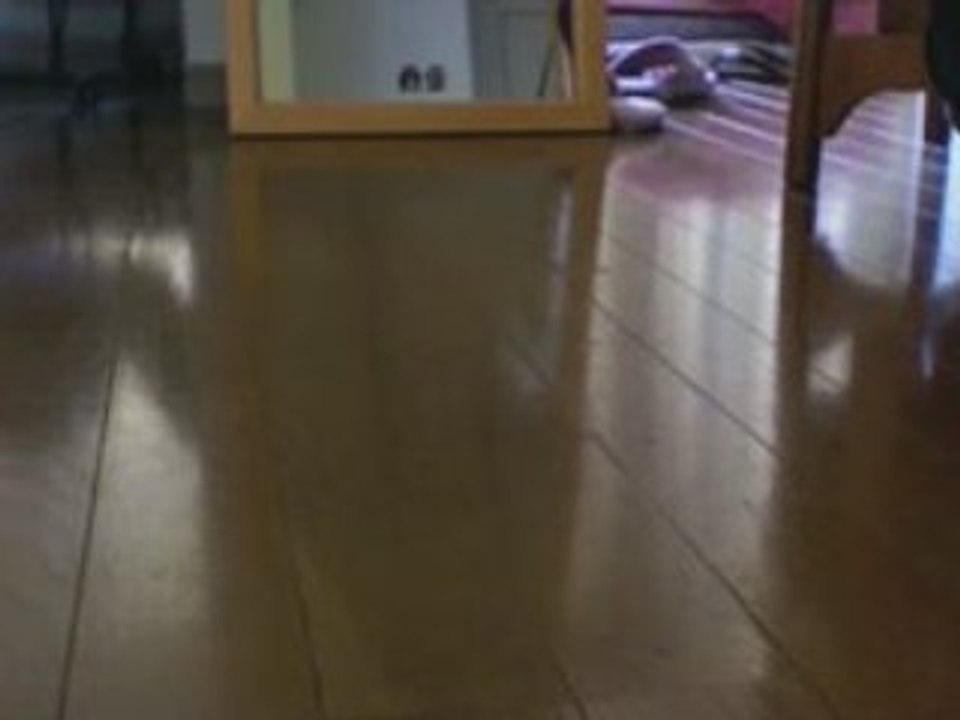 Peluche