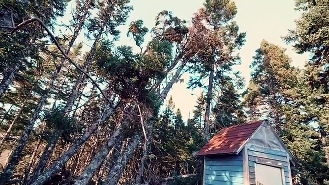 Northwoods Survival 1e01