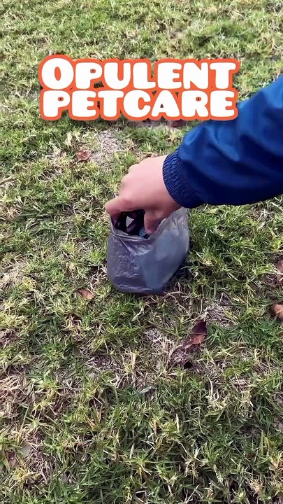2-in-1 Poop Scoop & Waste Bag Dispenser – Expandable Pooper Scooper with Leash Clip & Bag Holder