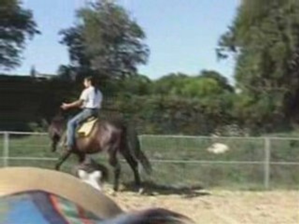 pub dvd davy lacroix cheval