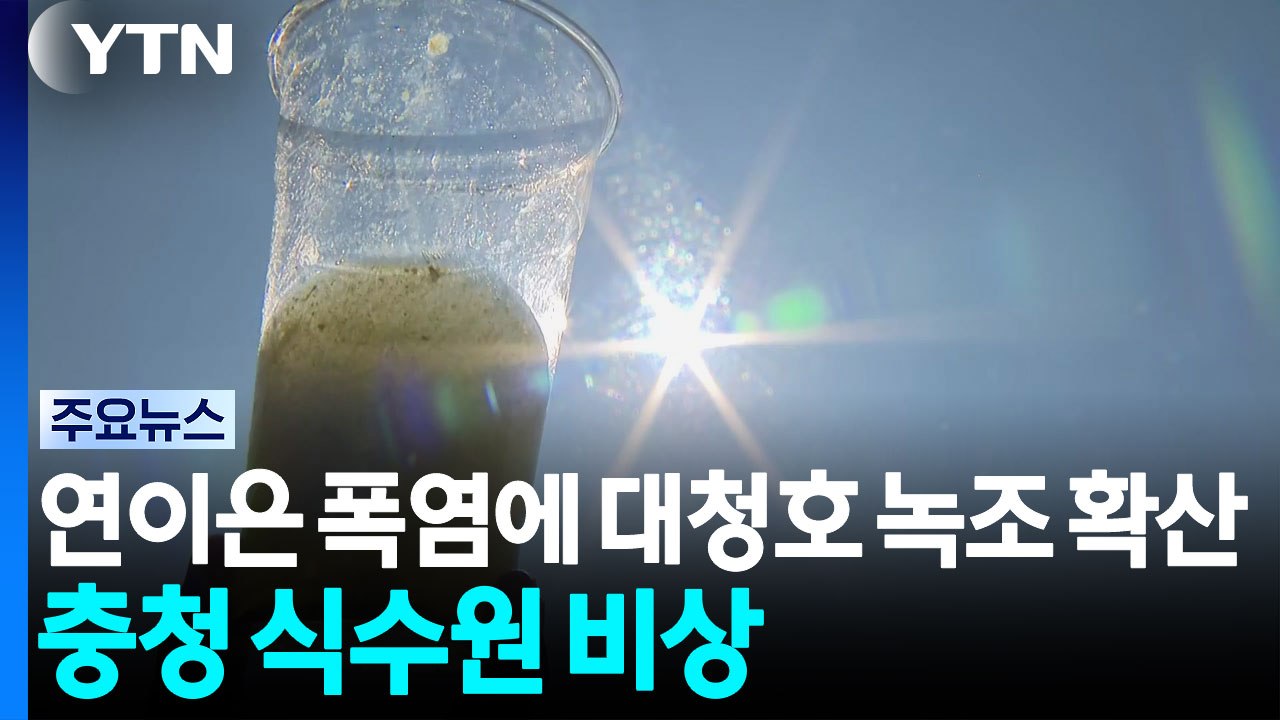 연이은 폭염에 대청호 녹조 확산...충청 식수원 비상 / YTN