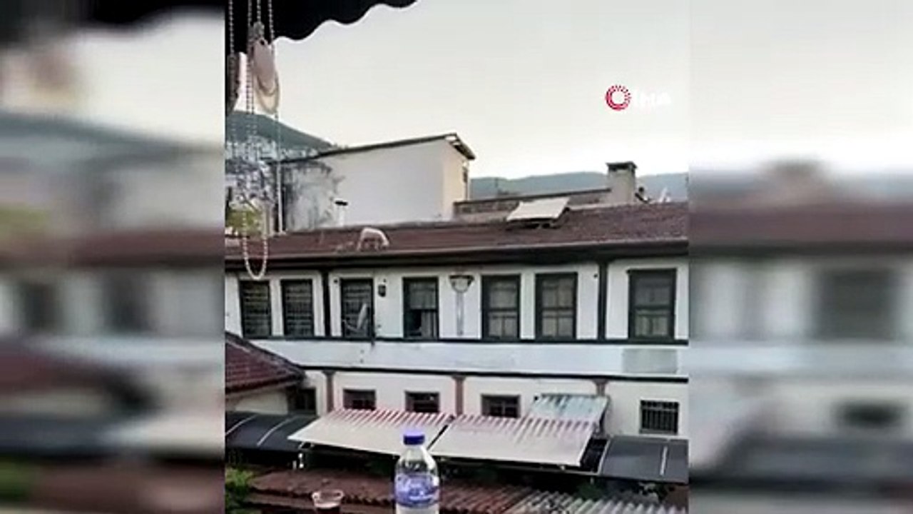 Çatıdaki koyunu görenler telefonuna sarıldı