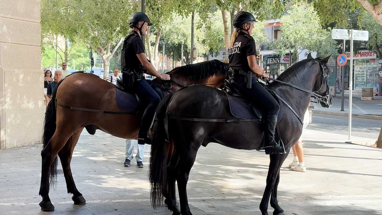 La Policía Montada de Palma refuerza la seguridad y la proximidad ciudadana patrullando a caballo las calles del centro
