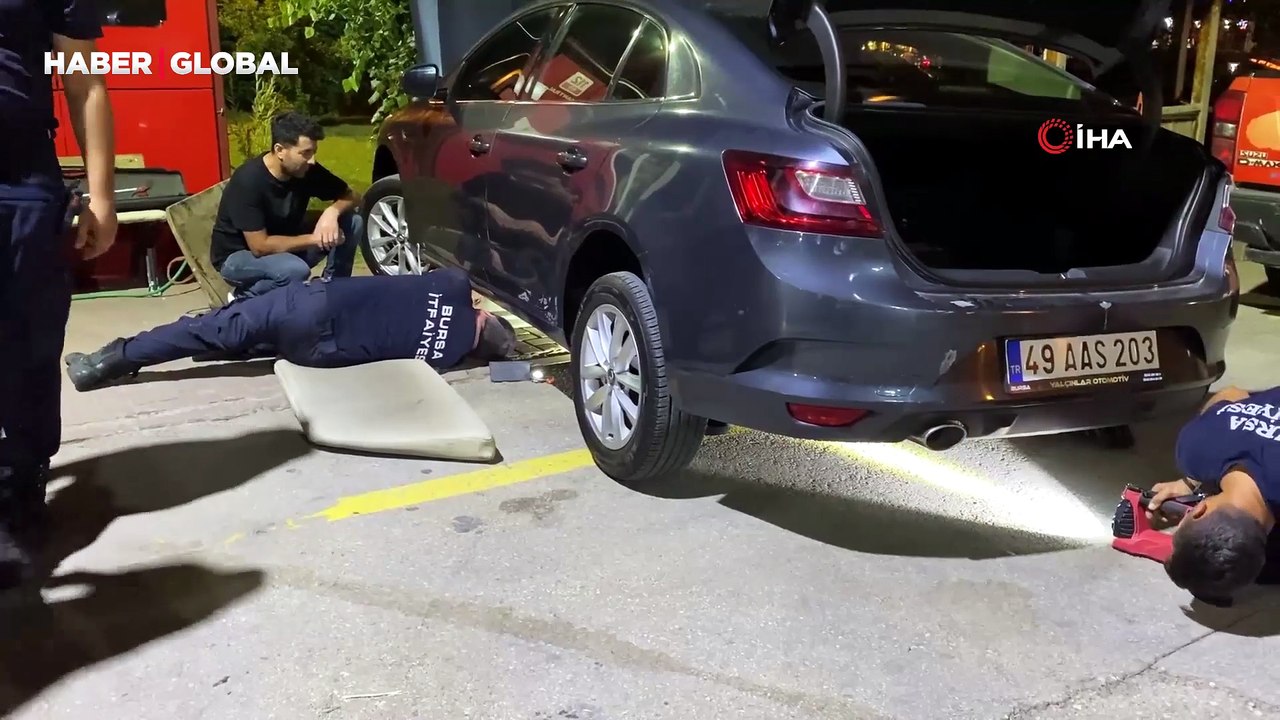 Aracının motorunda yılanı gören sürücü gözlerine inanamadı