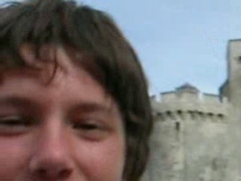 Pro et anti-BB Brunes