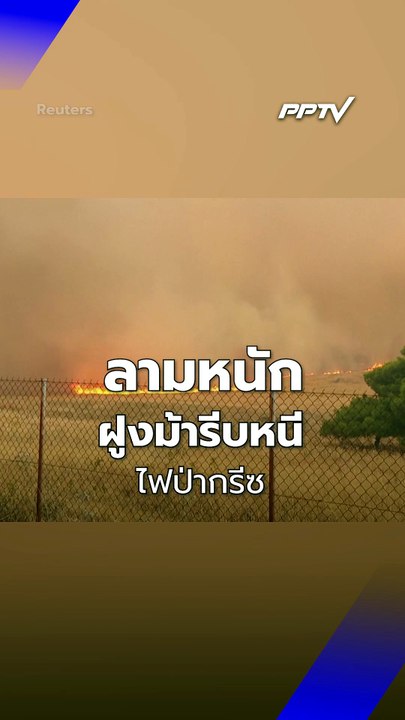 ฝูงม้าหนีไฟป่าในกรีซ หลังลุกลามหนัก | PPTV Online