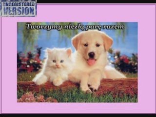 Jesteś moim kotkiem Anno