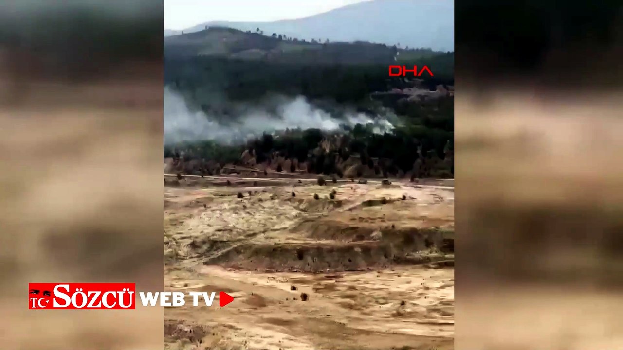 Bursa'da orman yangını